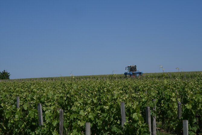 Private Saint Emilion Tour With Wine Tasting - Minimum Travelers and Pricing