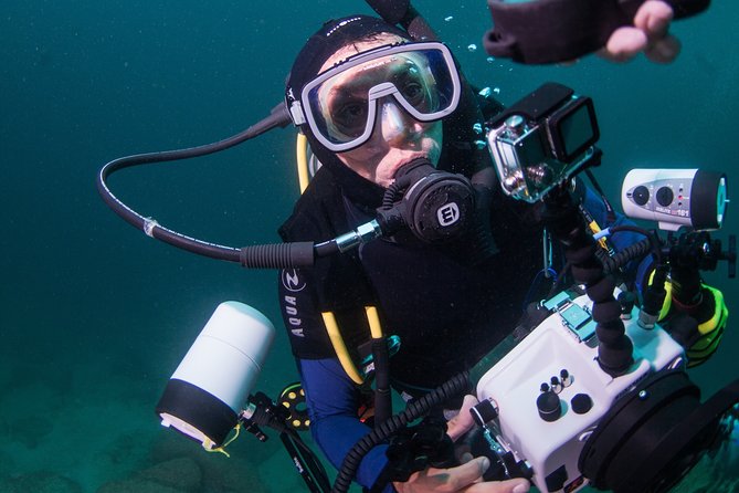 Private Scuba Diving Puerto Vallarta Undersea - Pricing and Booking Details
