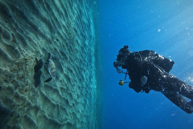 Private Scubadiving With Professional Instructor, Photos Included - What to Expect