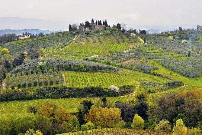 Private Shore Excursion From Livorno Port: Tuscany Highlights - Pricing and Reservation Details