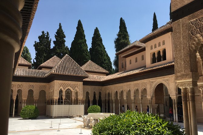 Private Shore Excursion to the Alhambra and Granada From Motril Cruise Port - Tour Highlights