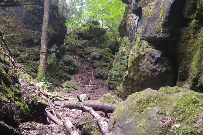 Private Singhampton Caves Hike, Collingwood/Blue Mtn/Creemore - Tour Overview