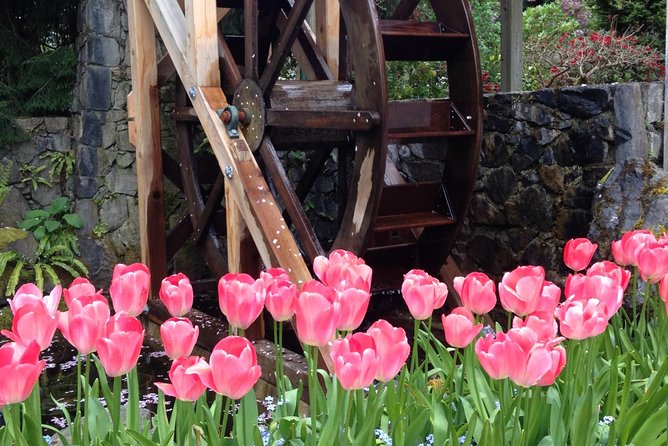 Private Small Group Deluxe Tour of Victoria & to Butchart Gardens - Tour Overview and Itinerary
