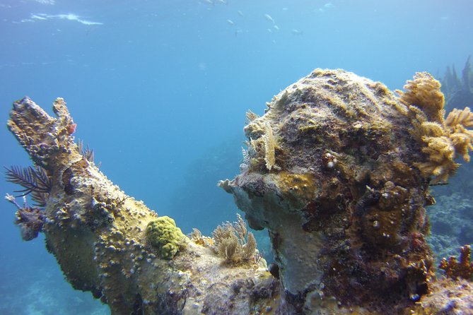 Private Snorkel Charter to the Key Largo Reef for Group up to 10 - Meeting and Pickup Information