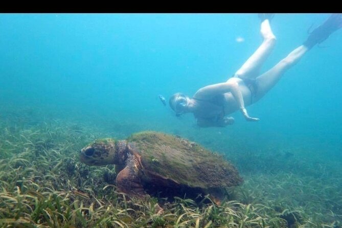 Private Snorkeling and Sightseeing Tour of Antigua - Tour Overview and Highlights