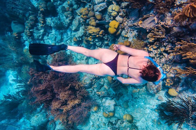 Private Snorkeling Tour Bonaire - Meeting and Pickup Information