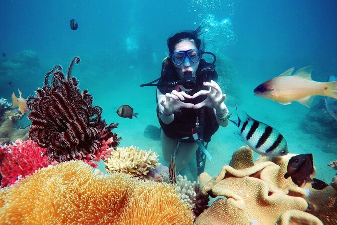Private Snorkeling Tour Nha Trang Included Lunch And Snorkel Gear - Tour Highlights