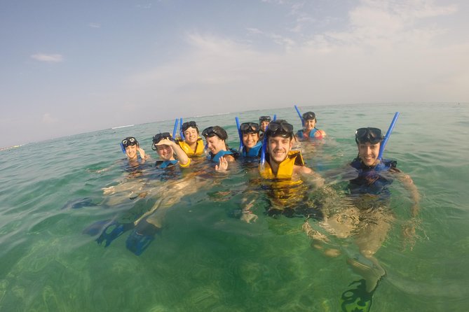 Private Snorkeling Tour With Sea Turtles at Akumal Beach  - Playa Del Carmen - Tour Details and Inclusions