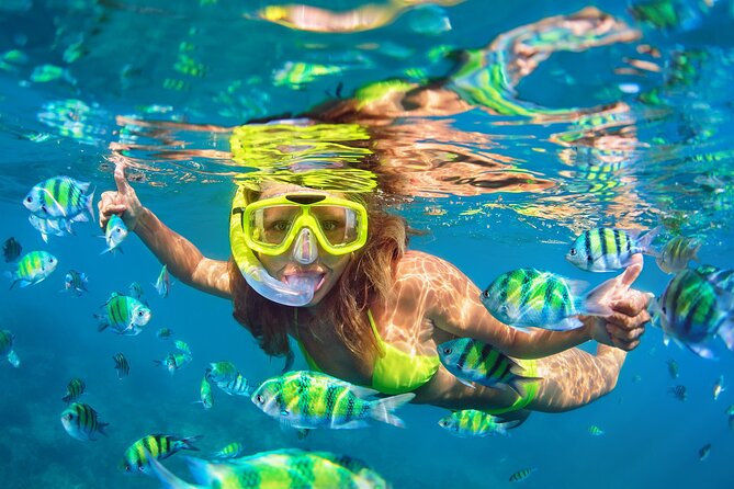 Private Snorkeling With Turtles in Fujairah With BBQ - Snorkeling With Turtles: an Unforgettable Experience