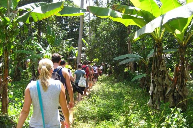Private Spice Tour in Zanzibar With Pick up - Tour Highlights