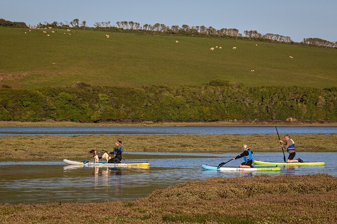 Private Stand-Up-Paddle Tour on the River Gannel - Overview and Benefits of the Private Tour