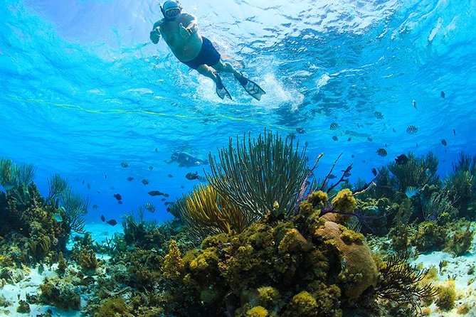 Private Stingray City and Snorkeling Half Day Charter for 6 Guest - Date and Travelers