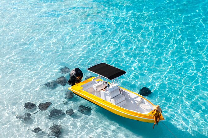 Private: Stingray City, Starfish, Snorkeling - 6 Guests - Experience Details