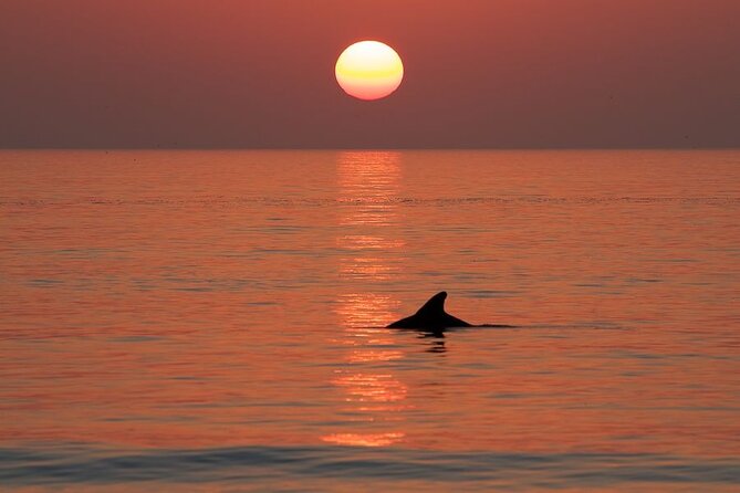 Private Sunset Cruise and Dolphin Sighting in Destin - Overview and Experience