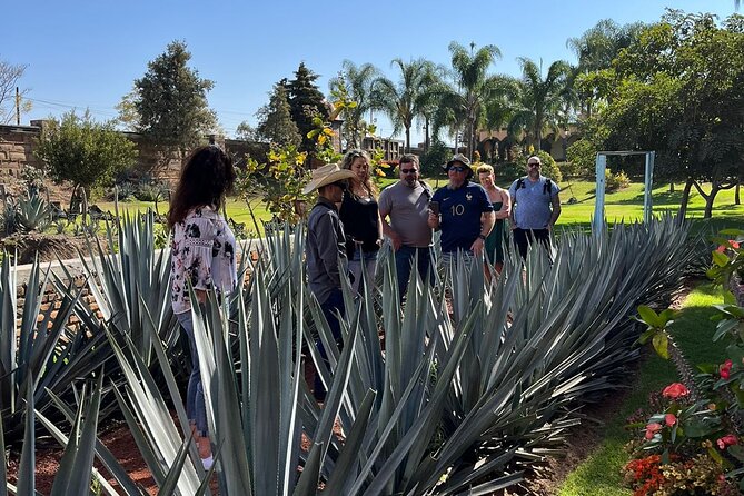 Private Tequila Route Day Trip From Guadalajara - Pricing and Booking Details
