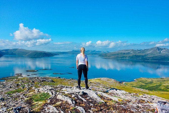 Private Tesla X Fjord Hiking - Overview and Tour Details