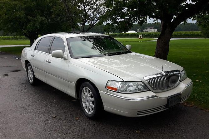 Private Toronto Airport Transfer to Niagara Falls ON or NY  - Niagara Falls & Around - What To Expect During the Transfer