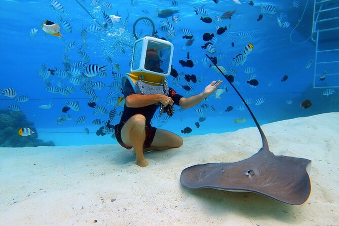 Private Tour: Aqua Safari Scuba Diving - Recommended Participants