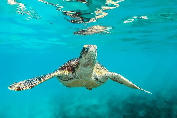Private Tour: Barbados Catamaran Snorkeling Cruise - Pickup Information