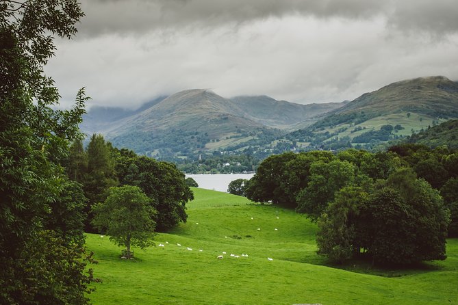 Private Tour: Beatrix Potter Tour in 16 Seater Minibus - Date and Traveler Selection