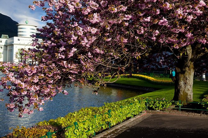 PRIVATE TOUR: Bergen City Sightseeing, 5 Hours - Tour Overview and Highlights