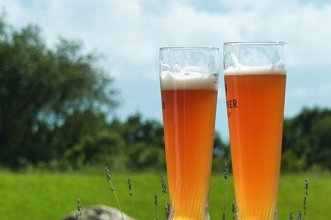 Private Tour: Craft Breweries and Beer Tastings in Niagara Region - Tour Overview