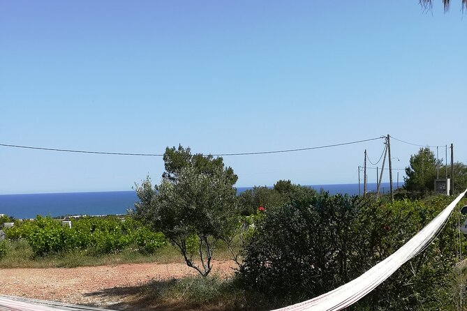 Private Tour: Discover the Secret World of Olives in Afantou - Meeting and Pickup
