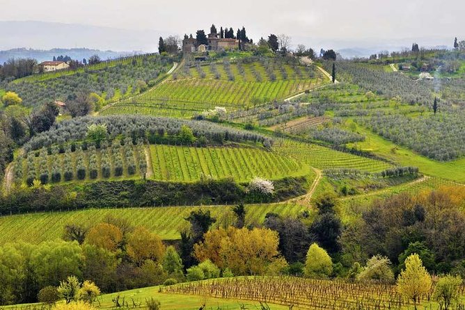 Private Tour From Livorno Port to Chianti Wine Region - Itinerary Highlights