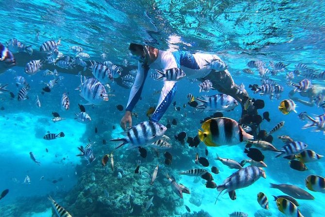 Private Tour From Raiatea - 1/2 Day Excursion to Tahaa or Other - Excursion Highlights