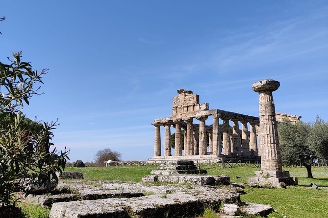 Private Tour From Sorrento/Positano to Paestum and Mozzarella Tour - Meeting and Pickup