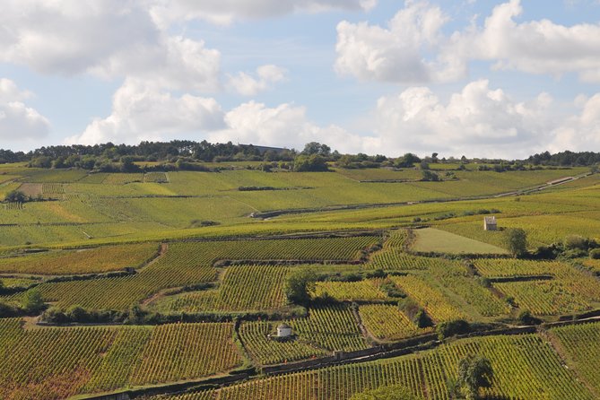 Private Tour Full Day Côte De Beaune - Tour Highlights and Itinerary