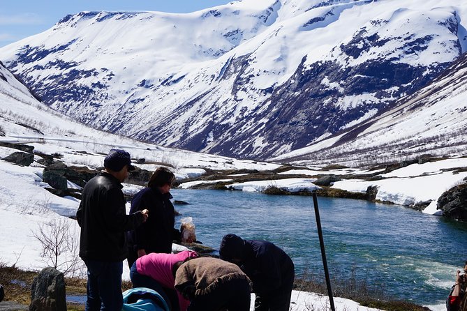 Private Tour Geiranger and Glaciers 1 to 15 People - Pricing and Guarantee
