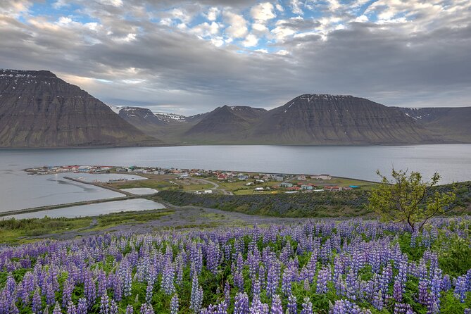 Private Tour in Westfjords Iceland - Tour Details