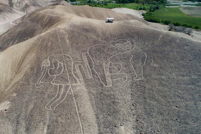 Private Tour Miradores Palpa Nazca With Nazca Lines Overflight - Tour Highlights