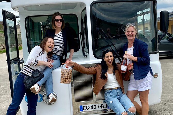 Private Tour of Epernay and Vineyards by Bus With Champagne - Transportation Details
