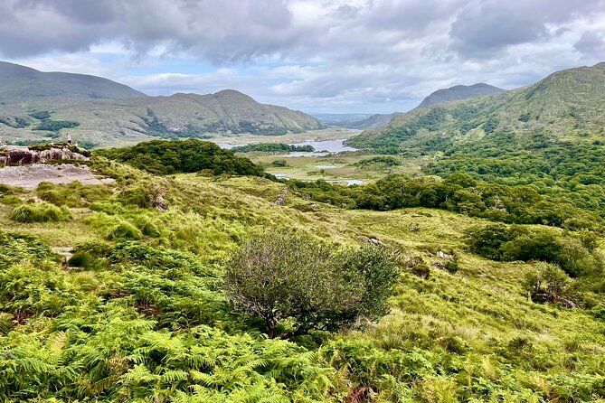 Private Tour of Kerry and Killarney From Cork and Cobh - Meeting and Pickup