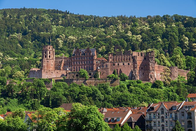 Private Tour of the Best of Heidelberg- Sightseeing, Food & Culture With a Local - Discover Heidelbergs Culinary Delights