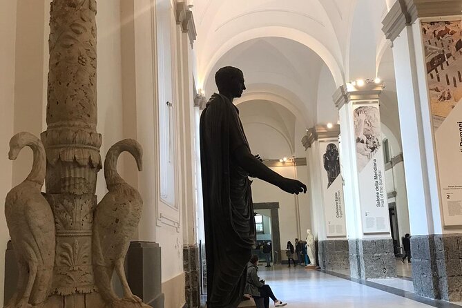 Private Tour of the National Archaeological Museum of Naples - Highlights of the Museums Collection