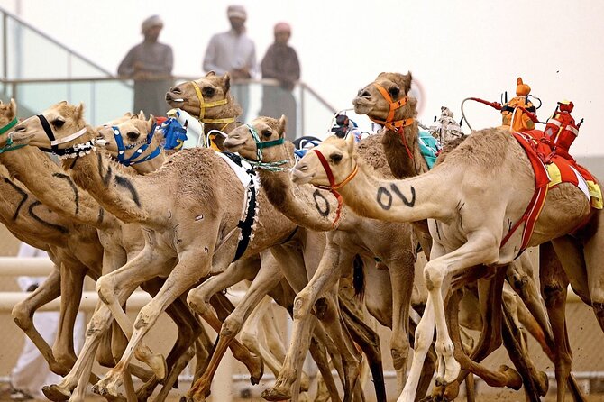 Private Tour Sheikh Faisal Museum and Camel Racing Track - Date and Traveler Information