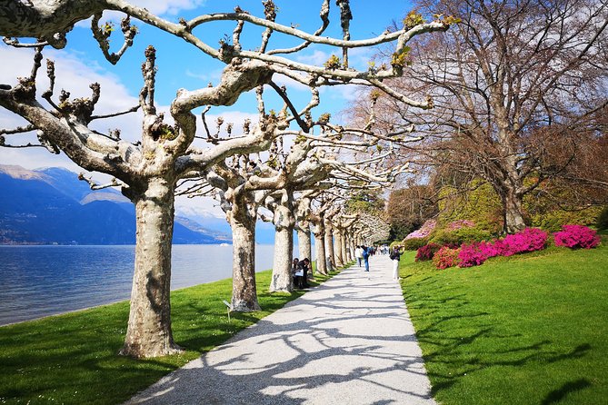 Private Tour to Bellagio and Lake Como From Stresa - Pricing and Booking Details