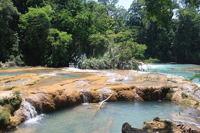 Private Tour to Mayan Palenque Pyramids and Two Waterfalls - Pricing and Booking