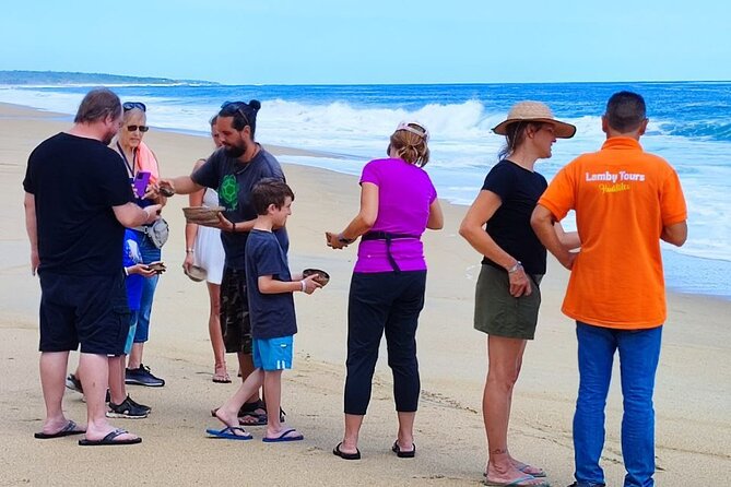 Private Tour to Release Turtles With Tickets Included - Tour Details