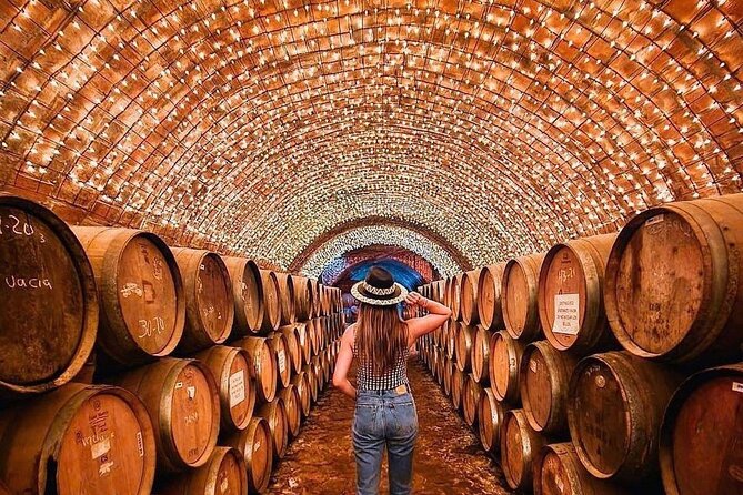 Private Tour to Tequila Unique Experience Price Groups of up to 4 - Inclusions