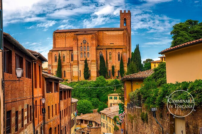 Private Tour to the Gothic Siena - Tour Details