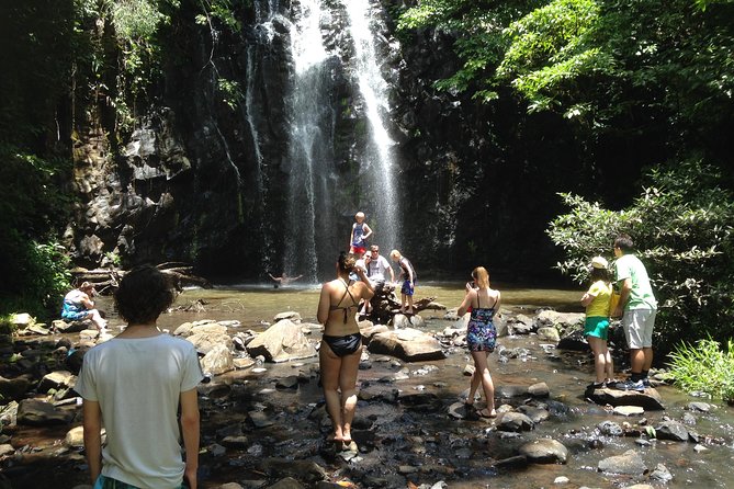 Private Tour: Tropical Rainforest and Waterfalls Day Trip From Cairns - Tour Highlights