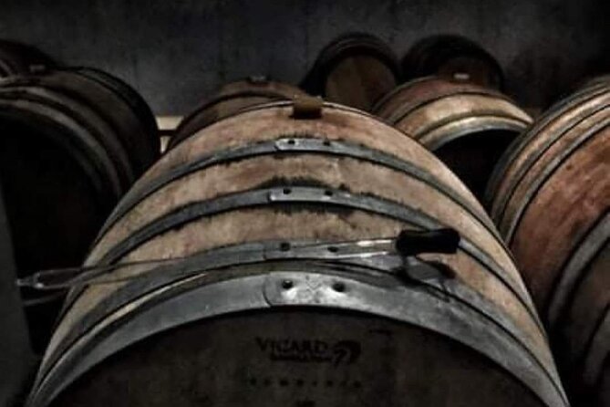 Private Tour - Wine Olive Oil Tasting and Pottery - Wine Tasting Experience