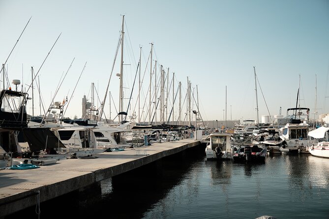 Private Tour With Dolphin Watching in Algeciras Bay - Tour Highlights