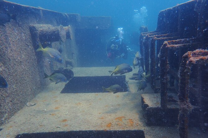 Private Tour Wreck Diving 5 Divers Cabo to La Paz - Destinations for Wreck Diving in Cabo to La Paz