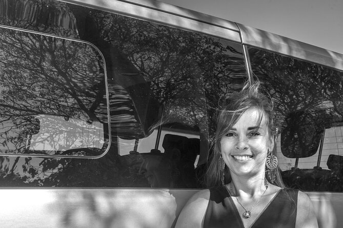 Private Transfer From or to Toulouse Airport or City Center, From or to Trèbes. - Inclusions and Benefits