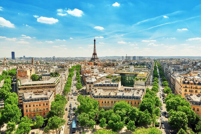 Private Transfer: Versailles to Paris Airport CDG in Luxury Van - Booking Confirmation and Accessibility